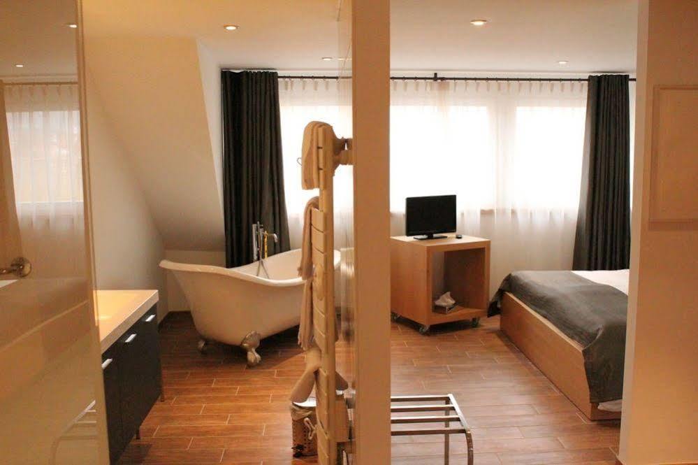 Art Hotel Kaysersberg-Vignoble